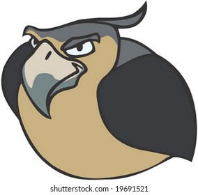 Animal Character