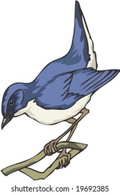 Animal Character