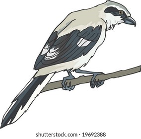 Animal Character