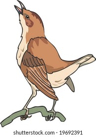 Animal Character