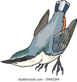 Animal Character