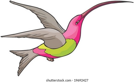 Animal Character
