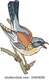 Carácter animal
