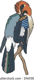 Carácter animal
