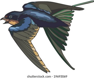 Animal Character