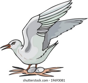 Animal Character