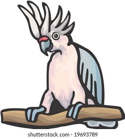 Animal Character