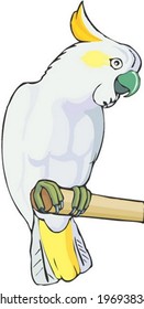 Animal Character