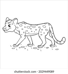 Animal character funny cheetah in line style. Children's illustration. Vector illustration for design and decoration.