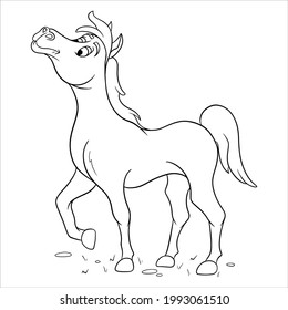 Animal character funny horse in line style coloring book. Children's illustration. Vector isolated on white background for book decoration and design.