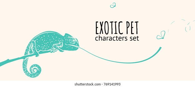 Animal character illustration. Exotic pet. Chameleon doodle style catching insects.