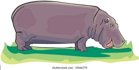 Animal Character on white background