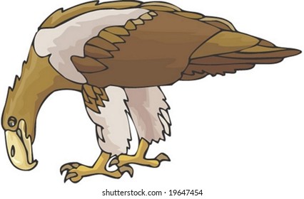 Animal Character on white background