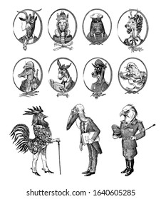 Animal characters set. Bald eagle Rooster Stork Walrus Crocodile Goat Dog Donkey Alpaca Llama Deer. Hand drawn portrait. Engraved monochrome sketch for card, label or tattoo. Hipster Anthropomorphism.
