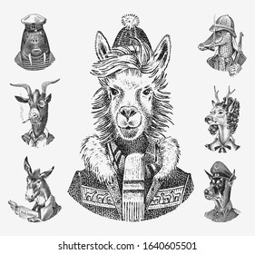 Animal characters set. Llama skier Deer lady Walrus Crocodile Smoking Goat Dog Donkey Alpaca. Hand drawn portrait. Engraved monochrome sketch for card, label or tattoo. Hipster Anthropomorphism.