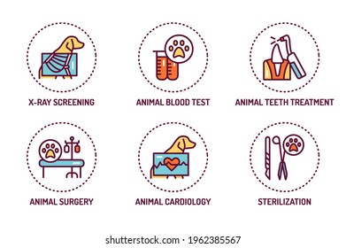 Animal checkup color line icons set. Isolated vector element. Outline pictograms for web page, mobile app, promo.