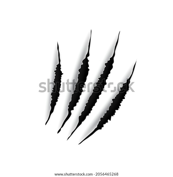 Animal Claw Mark Scratches Predator Bird Stock Vector (Royalty Free ...