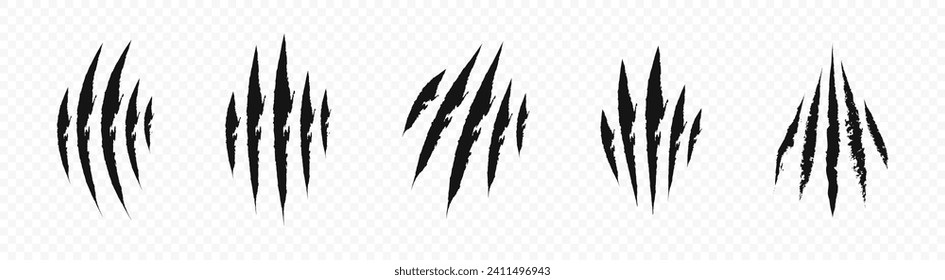 Animal claw scratches. Animal claw vector icons. Claw scratches