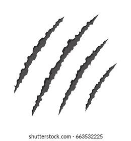 Animal Claws Scratching on White Background. Vector