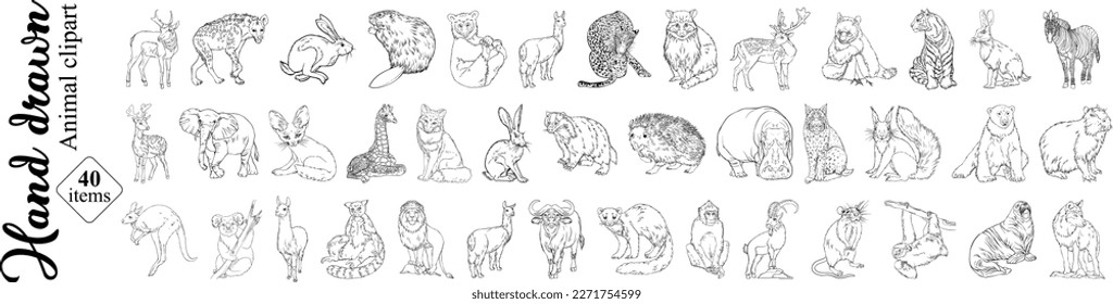 Animal clipart vector illustrations