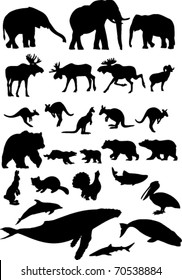 Animal collection.
