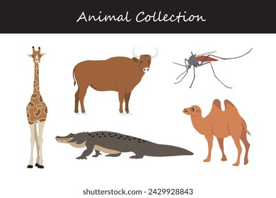 Animal collection. Cartoon style. Vector illustration isolated on white background.