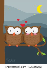 animal collection, little owl couple at night