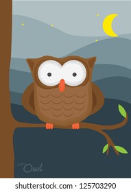 animal collection, little owl at night