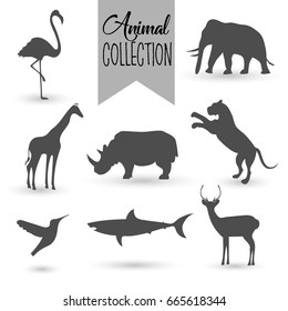 Animal collection. Set of animals.