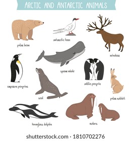 Animal collection. Vector arctic and antarctic animal fauna set. Polar rabbit and bear, emperor penguin, seal, hourglass dolphin, walrus, tern, reindeer isolated lettering icon illustration