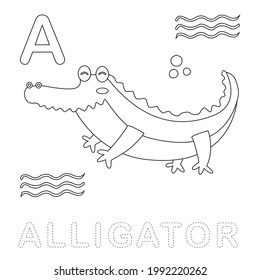 Animal coloring cute alligator line art vector black and white. Perfect set for kids learning alphabet and animals, preschool, and education.