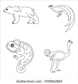 Animal coloring pages. Vector outline. Coloring book for adult and children. bear, bird of paradise, chameleon, ostrich.