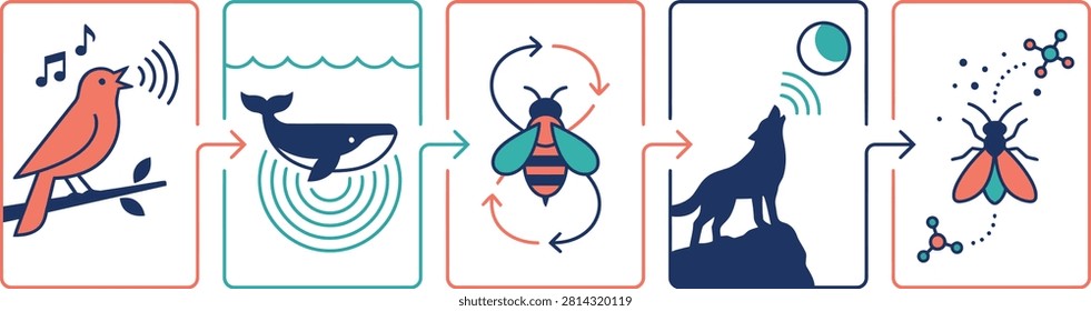 Animal communication methods and sensory signals infographic set with communication behavior vibration language interaction wildlife infographic illustration education chemical pheromones