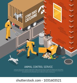 Animal control service catching stray abandoned and lost dogs eating from garbage cans isometric poster vector illustration 