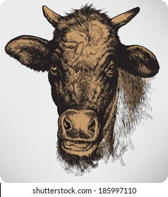Animal cow, hand-drawing. Vector illustration.