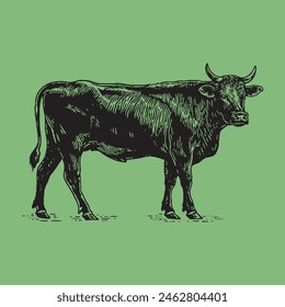 animal arte de la línea de la vaca, gráfico de la granja, icono de cuerno, cola de vaca