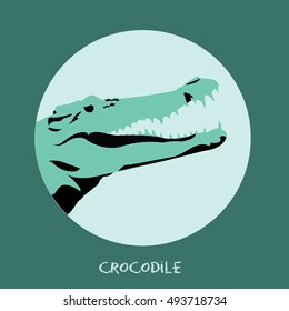 Animal Crocodile Vector illustration isolated on teal