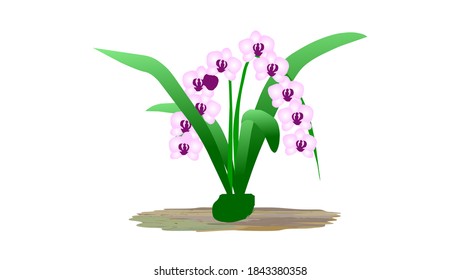 animal crossing flower - vector illustration