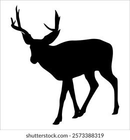 Animal Deer Jumping and running Vector illustration