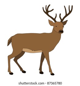animal - deer, vector