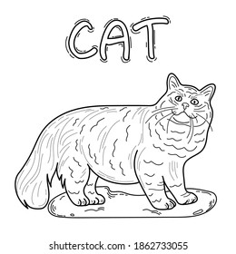 Animal Design for Coloring Book Cat Illustration