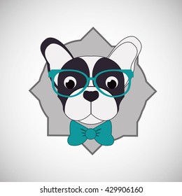 Animal design. french bull dog icon. Isolated illustration , vector