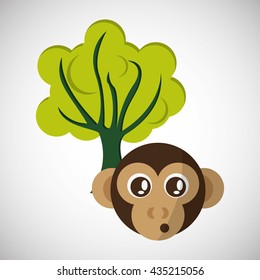 Animal design. monkey icon. Isolated illustration, white backgro