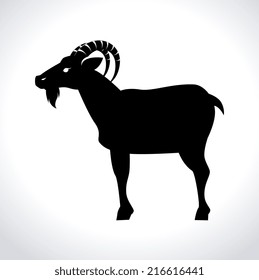 Animal design over white background, vector illustration