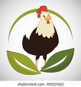 Animal design. rooster icon. Isolated illustration, white backgr