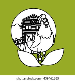 Animal design. rooster icon. Isolated illustration, white backgr