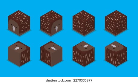 Animal Dice 3D Character Animal Echidna Cartoon Vector