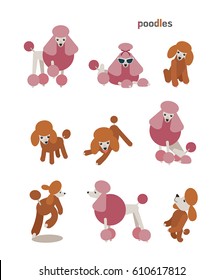 animal dog character poodle vector illustration flat design