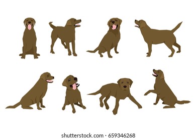 Animal dog Labrador character icon set in flat style. Design template.