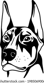 Animal dog logo vector design templates